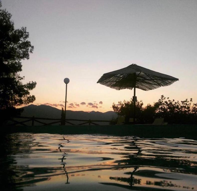 Apollon Camping Delphi πισίνα